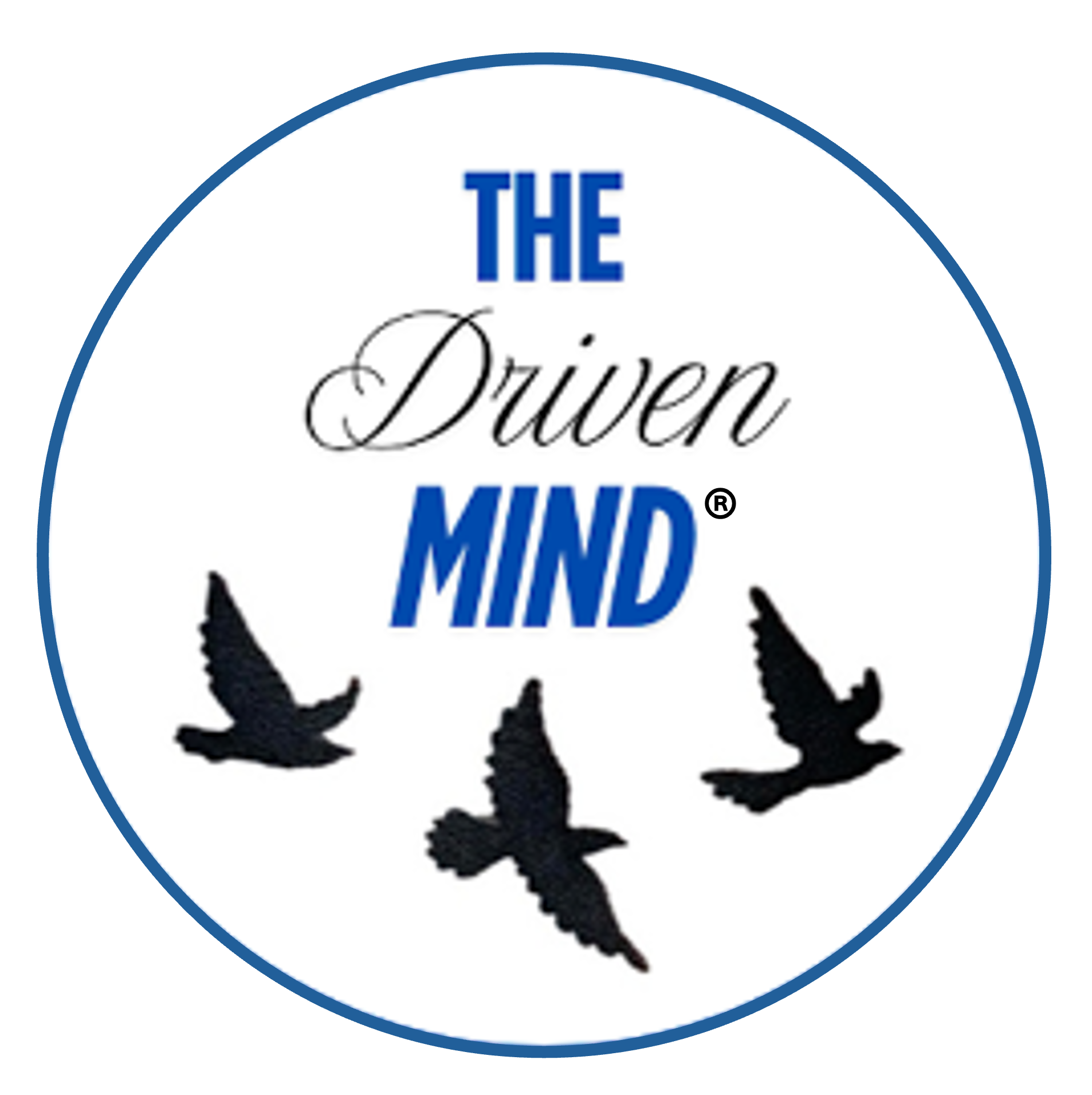 The Driven Mind Logo